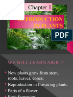 Chapter 1 Reproduction in Plants