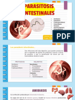 Parasitosis Intestinales