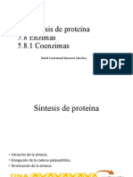 5.7 Síntesis de Proteína 5.8 Enzimas 5.8.1 Coenzimas: David Emmanuel Navarro Sánchez