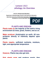 Plant Patology - An Overview