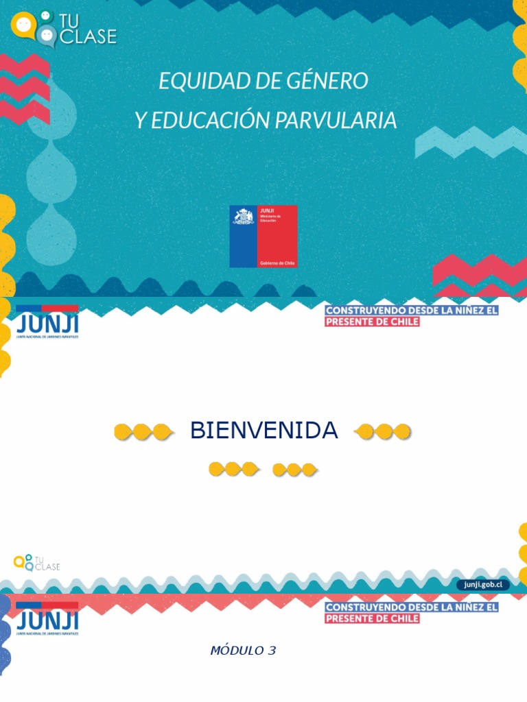 Estrategias de Igualdad de Género en Educación | PDF | Educación de la ...