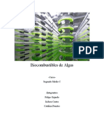 INFORME Biocombustibles de Algas