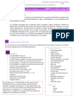 PRÁCTICA 7 PRUEBA PATERNIDAD BMC - pdf.2