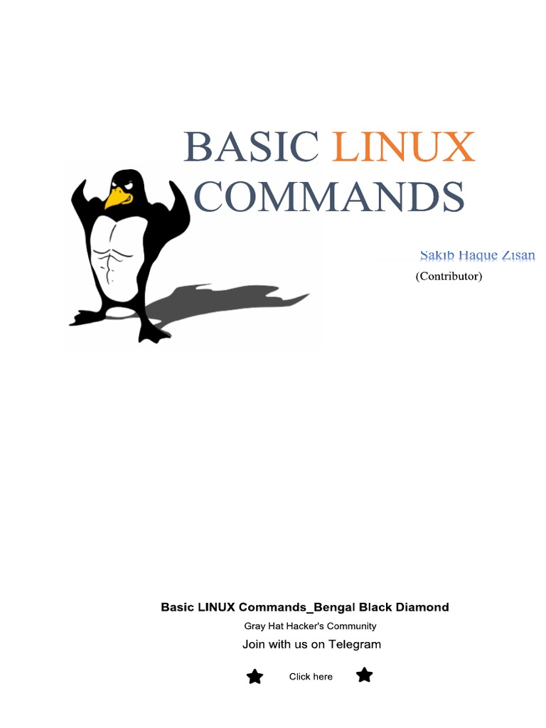 Basic Linux Commands | PDF