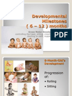 Developmental Milestones 6 Months