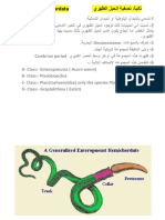 نصفية الحبل الظهري المحاضرة الثالثة