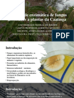 Apresentação Diversidade Enzimática de Fungos Associados A Plantas Da Caatinga