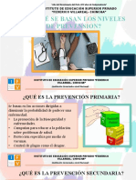 Niveles de Prevencion