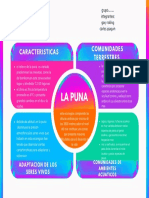 La Punaaa (Peru)