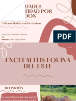 Encefalitis Equina Del Este - Cervantes Camacho Dana Sofia - B2