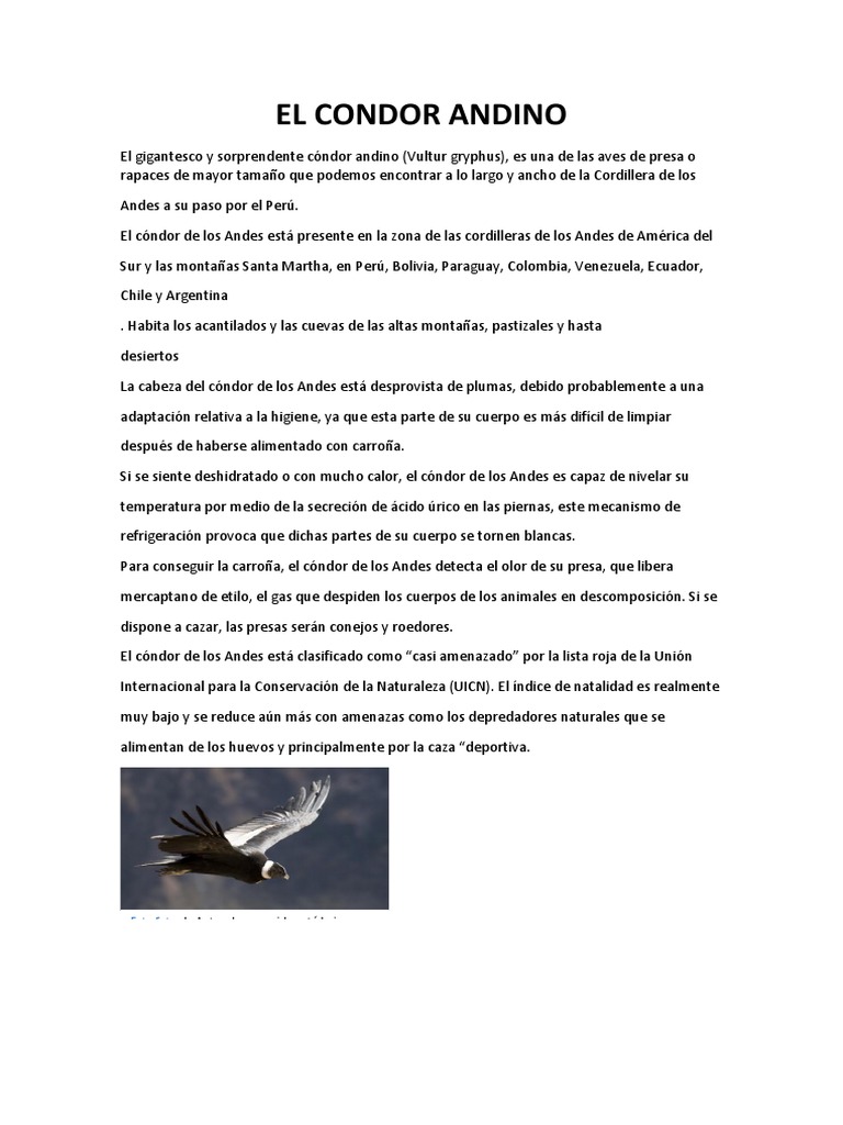 El Condor Andino | PDF
