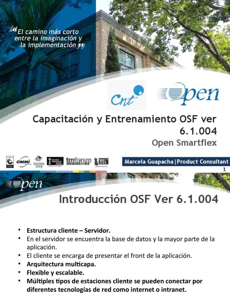 5 - Framework OSF Ver 6.1.004 v1 | PDF | Bases de datos | Software de ...