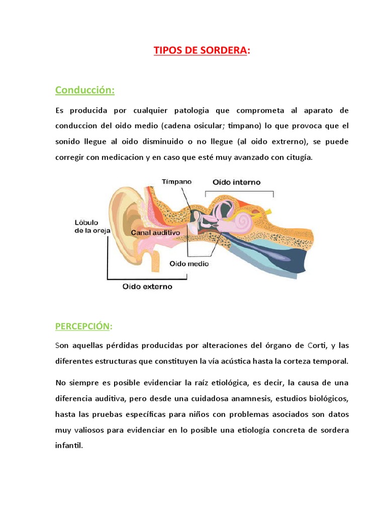 Tipos de Sordera | PDF | Oído | Escuchando