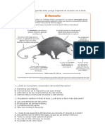 actividad sobre la infografía