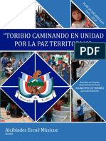Plan de Desarrollo Toribio 2016 - 2019 CARGADO