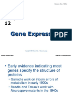 ch12 - Lecture Gene Expression
