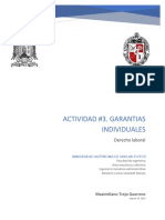 Actividad #3. Garantias Individuales