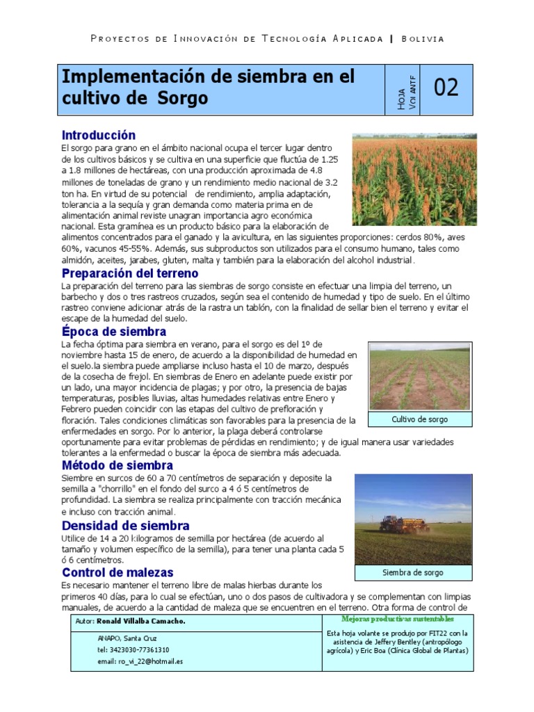 Implementacion de Siembra en El Cultivo de Sorgo | PDF | Siembra ...