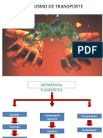 AULA 3 - Mecanismos de Transporte
