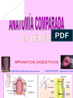 Anatomia Comparada