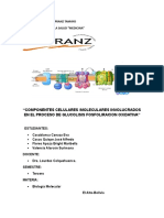 Glicolisis y Nucleo Celular.