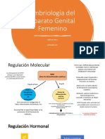 Embriología Del Aparato Genital Femenino