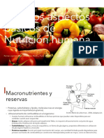 Nutrición Aspectos Básicos