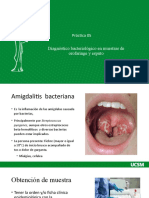 Práctica 5 Diagnóstico Bacteriológico en Muestras de Orofaringe y Esputo