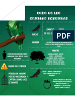 Infografia Loro