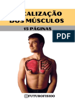 Localizacao Dos Musculos