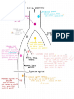 Drenagem Linfática Da Pelve