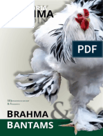 Brahma Book