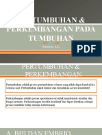 Pertubuhan & Perkembangan