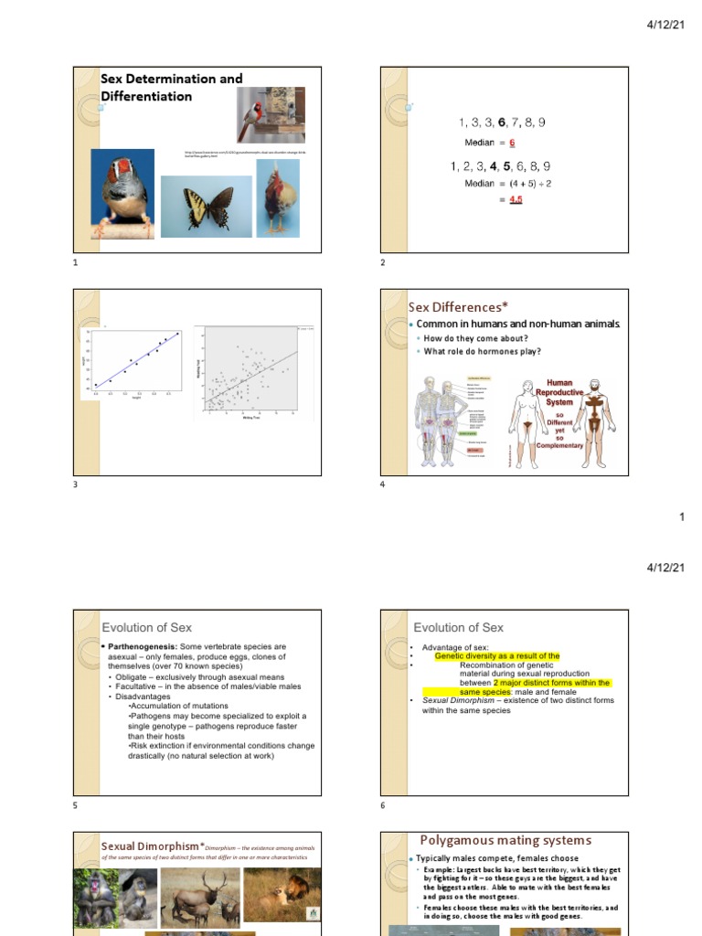 S21 v2 sex determination and differentiation short version