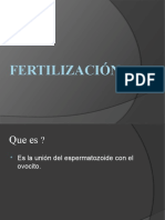 Fertilización