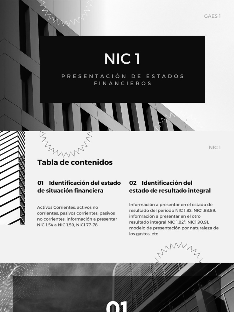 Nic 1 - Presentación de Estados Financieros | PDF | Estado de ...