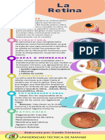 Infografia La Retina. Camila Córdova