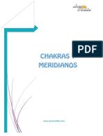Chakras y Meridianos