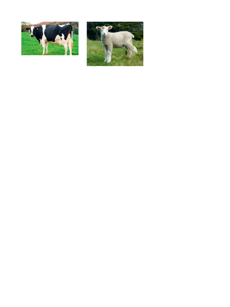 000002 | PDF