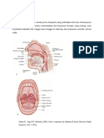 Anatomi Dan Invervasi Rongga Mulut