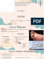 Larva Migrans