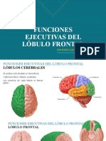 Funciones Ejecutivas Del Lóbulo Frontal