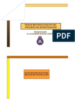 Pasos_Investigación_2010