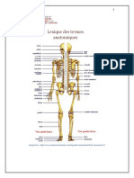 360 Lexique Des Termes Anatomiques Divers Auteurs