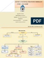 Mapa Conceptual Bioestadistica