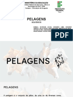 Pelage M