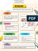 Metabolismo Cerebro y Nervios