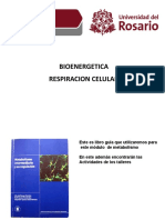 Presentación Bioenergética y Respiración Celular