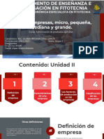 Tema 9.-Empresas, Micro, Pequeña, Mediana y Grande