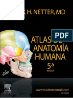 Netter Atlas de Anatomía 5ta Edición